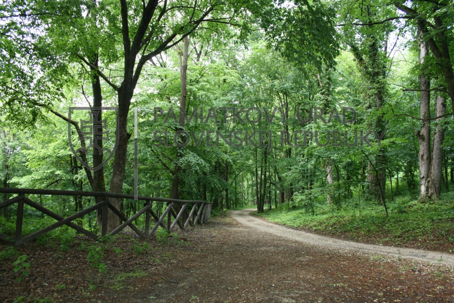 Identifikačná fotografia